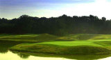 chamberlayne_6007003.jpg