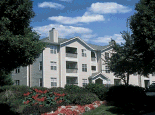 chamberlayne_6009002.gif